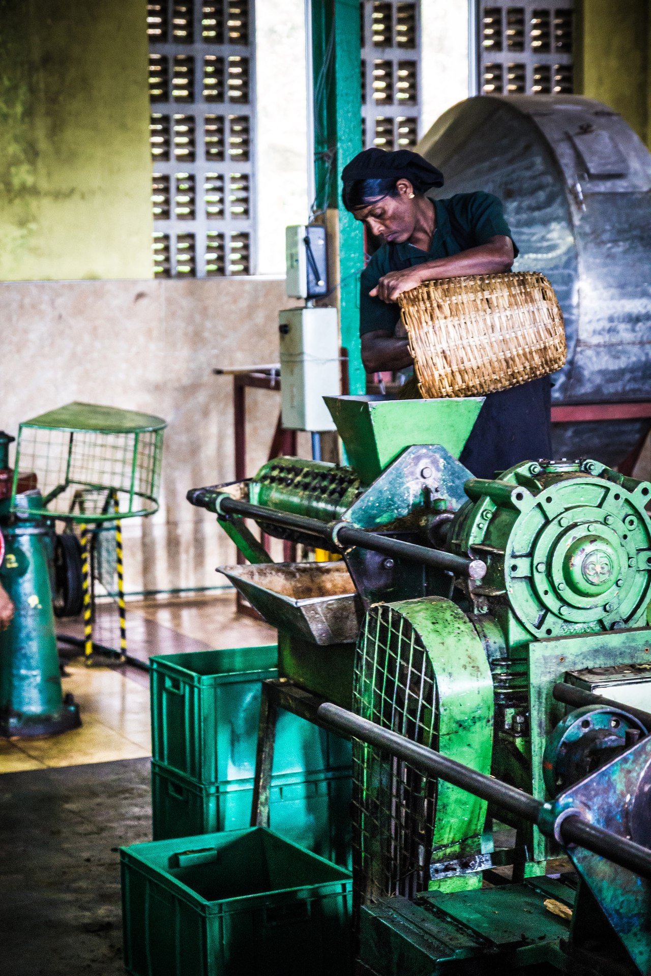 Ceylon tea factory near Kandy